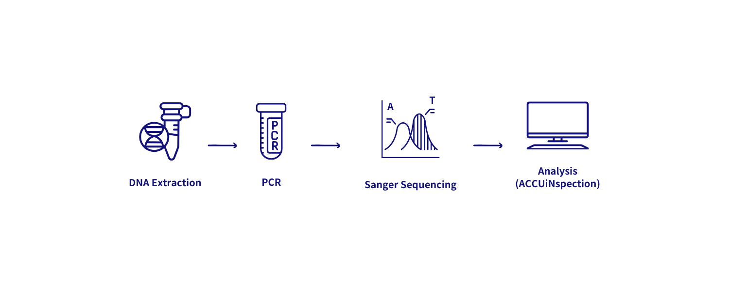 安奕KRAS Ex2突變篩檢試劑盒 流程圖